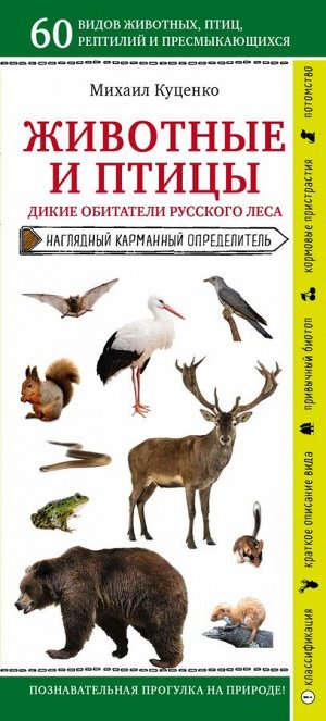 Куценко М.Е. Животные и птицы. Дикие обитатели русского леса