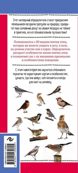 Куценко М.Е. Певчие птицы. Обитатели лесов и полей