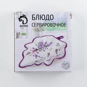 Блюдо сервировочное Доляна «Гранат», 21*15*4,5 см