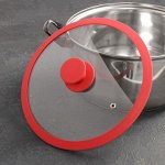 Крышка для сковороды и кастрюли Доляна стеклянная с силиконовым ободком и ручкой, d=24 см, цвет красный