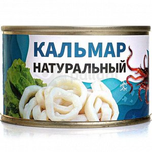 Кальмар натур.тушка (филе) б/кожи 240г (Морепродукт) 1/48, шт