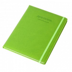 Дневник школьный Alingar 1-11 кл., 48л., 7БЦ, иск.кожа, тиснение, на резинке, "Classic style" Green