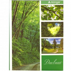 Дневник школьный Alingar 1-11 кл., 48л., 7БЦ, поролон, глиттер, ассорти, "Природа"