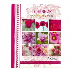 Дневник школьный Alingar 1-11 кл., 48л., 7БЦ, поролон, глиттер, ассорти, "Цветы-1"