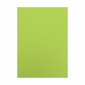Бумага цветная А4, 100 листов, deVENTE, 75 г/м?, неоновый зелёный, в пакете