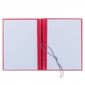 Папка "Магистерская диссертация" бумвинил, гребешки/сутаж, без бумаги, цвет красный (вместимость до 300 листов)