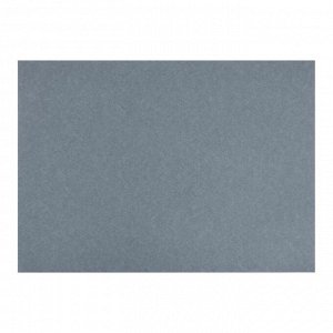 Бумага для пастели В3 (350х500 мм) с тиснением, 10 листов "Палаццо", 160 г/м2, графит
