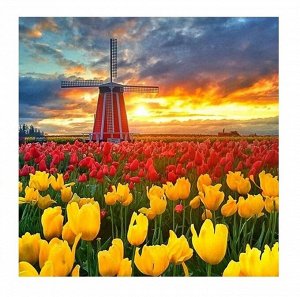 Molly. Картины мозаикой KM0685 "Поля тюльпанов в Нидерландах" (30х30) 27 цветов 1/20