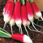 Редис Киви (Вкуснятина) (3г)