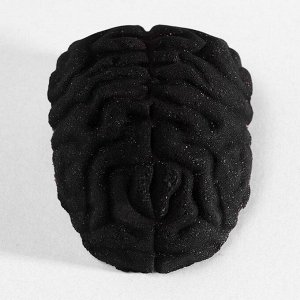 Бомбочка для ванн «Мозг», шоколад, 100 г