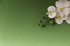 Фоамиран китайский (тёмно-зелёный) 1мм , 60см*70см упак. 10шт