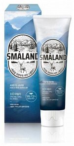 Зубная паста DC 2080 SMALAND НОРДИК 100г