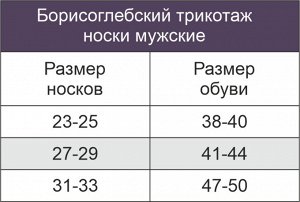 Мужские носки Борисоглебский Трикотаж