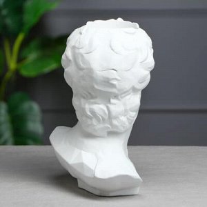Органайзер-кашпо "Голова Давида", белый, 26 см