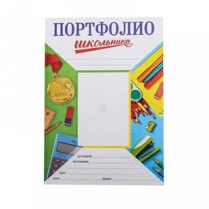 Листы - вкладыши для портфолио «Портфолио школьника», 13 листов, 21x 29 см