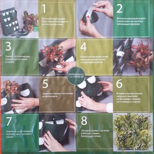 Фитомодуль 🌿  — ваш вертикальный сад в интерьере!