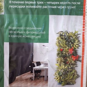 Фитомодуль 🌿  — ваш вертикальный сад в интерьере!