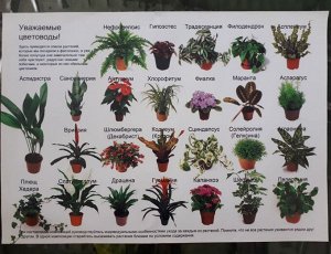 Фитомодуль 🌿  — ваш вертикальный сад в интерьере!