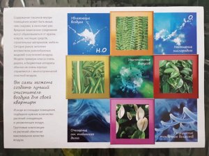 Фитомодуль 🌿  — ваш вертикальный сад в интерьере!