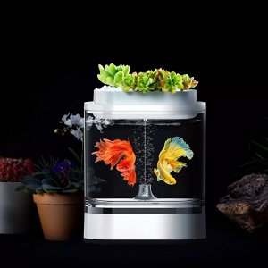 Аквариум Xiaomi Mini Fish Tank Pro