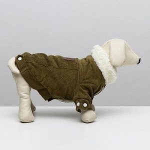 Куртка для собак вельветовая,xS (ДС 19 см, ОШ 19 см, ОГ 30 см), зелёная