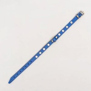 Ошейник кожаный двуxслойный со стразами, 1,2x 35 см, голубой