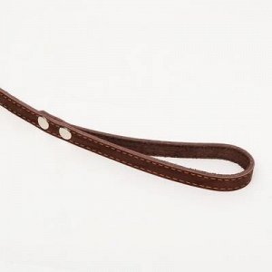 Поводок кожаный однослойный длинный, 2 мx 1,6 см, коричневый