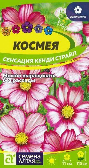 Цветы Космея Сенсация Кенди Страйп/Сем Алт/цп 0,5гр.