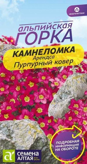 Цветы Камнеломка Пурпурный ковер Арендса/Сем Алт/цп 0,01 гр. многолетник Альпийская горка