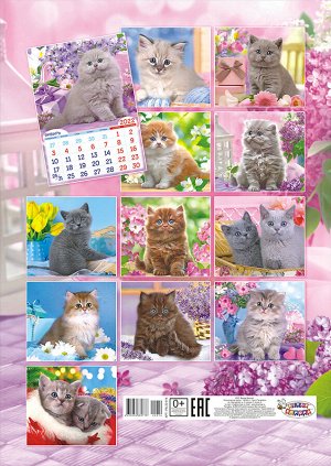 Перекидной настенный календарь на ригеле на 2022 год "Котята"