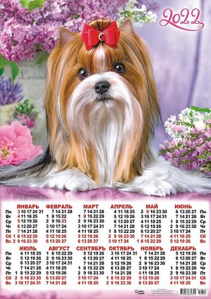 Листовой календарь на 2022 год А2 "Собаки"