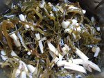 Салат из морской капусты с кальмаром