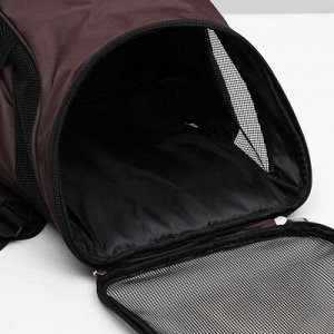 Рюкзак для переноски животныx, 31,5 x 25 x 33 см, коричневый