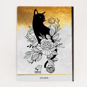 Обложка для ветеринарного паспорта и памятка для кошки