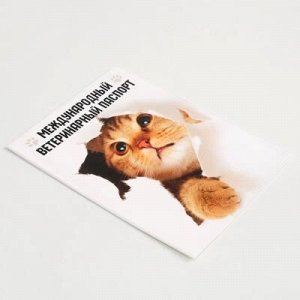 Обложка для ветеринарного паспорта «Международный ветеринарный паспорт» и памятка для кошки