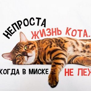 Коврик под миску «Не проста жизнь кота», 43x28 см