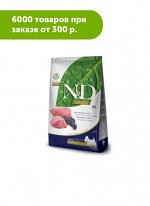 Farmina N&amp;D Dog Prime Grain Free сухой беззерновой корм для собак мелких пород Ягненок/Черника 800гр