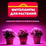 Фитолампы / светильники для развития растений