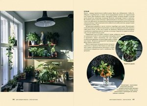Норвежский сад. Красивые и выносливые растения для городской квартиры