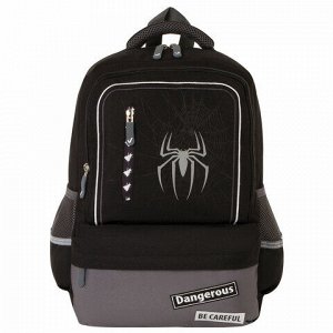 Рюкзак BRAUBERG STAR, "Spider", черный, 40х29х13 см, 229978