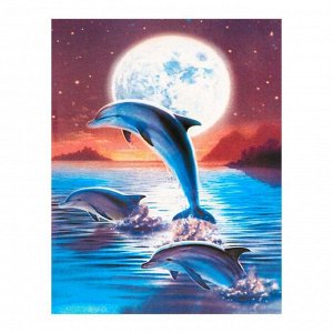 Роспись по холсту «Дельфины» по номерам с красками по 3 мл+ кисти+инстр+крепеж, 30 ? 40 см