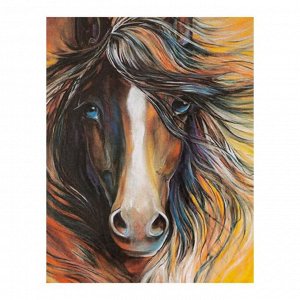 Роспись по холсту «Красавец конь» по номерам с красками по 3 мл+ кисти+инстр+крепеж, 30 ? 40 см