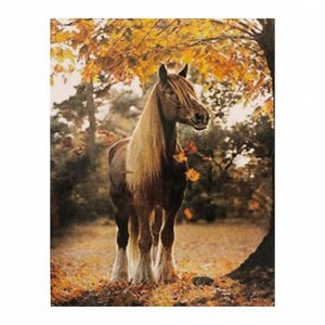 Роспись по холсту «Конь осенью» по номерам с красками по 3 мл+ кисти+инстр+крепеж, 30 ? 40 см