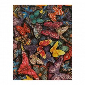 Роспись по холсту «Мир бабочек» по номерам с красками по 3 мл+ кисти+инстр+крепеж, 30 ? 40 см