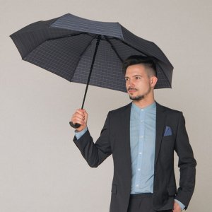 Зонт мужской FLIORAJ 007001FJ