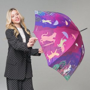 Зонт женский 121209 FJ