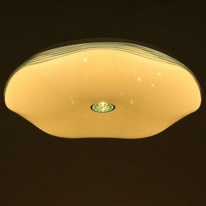 Светильник 13109-81W, 81Вт LED с ПДУ, цвет белый