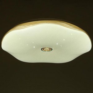 Светильник 13111-81W, 81Вт LED с ПДУ, цвет белый