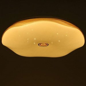 Светильник 13111-81W, 81Вт LED с ПДУ, цвет белый