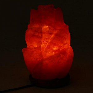 Солевая лампа Wonder Life "Цветок", 15 Вт, гималайская соль, от сети